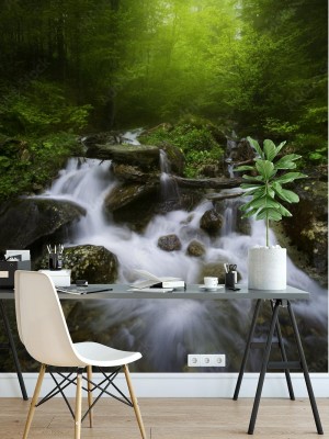 Fototapeta Rwący potok w lesie