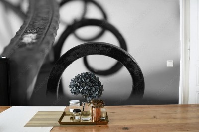 Fototapeta Żelazna poręcz pokryta porannym mrozem