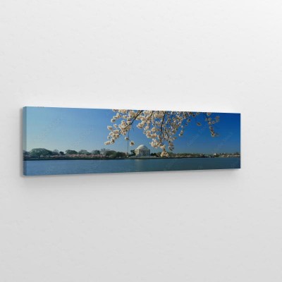 panoramiczny-widok-jefferson-memorial-i-cherry-blossoms-na-wiosne