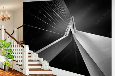 Fototapeta  Fragment mostu ErasmusBrug w Rotterdamie