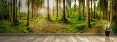 Fototapeta Leśna panorama z jasnym słońcem świecącym przez drzewa