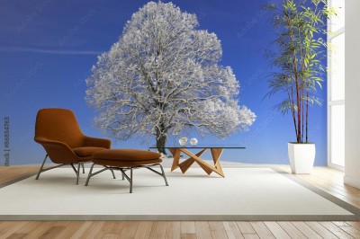 Fototapeta Pojedyncze drzewo ze szronem w Bawarii