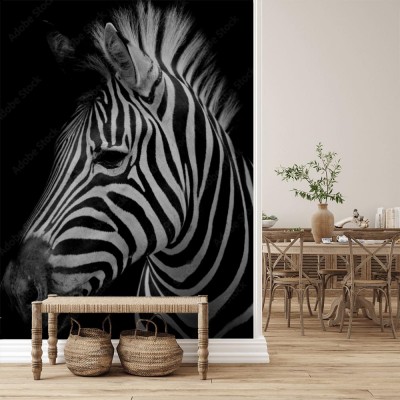 Fototapeta Zebra na ciemnym tle