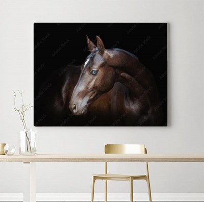 Obraz na płótnie Koń Achal-Teke