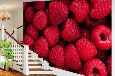 Fototapeta Tło z malin