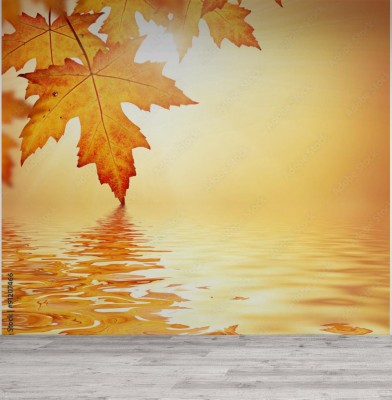 Fototapeta Złota jesień