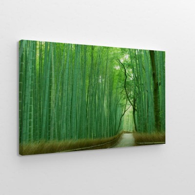 las-bambusowy-w-kioto