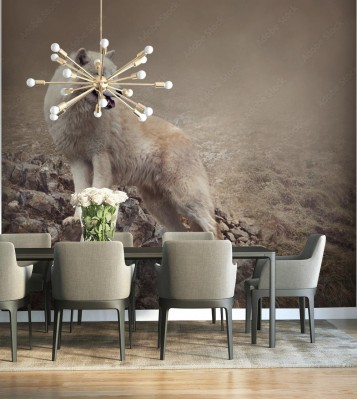 Fototapeta Biały wilk w nocy