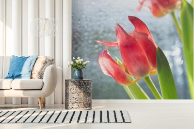 Fototapeta Bukiet czerwonych kwiatów tulipanów