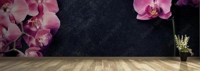 Fototapeta Różowa orchidea na ciemnym tle