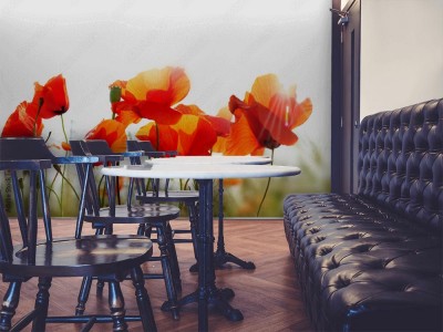 Fototapeta Maki na przezroczystym niebie