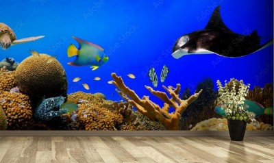 Fototapeta Panorama podwodnej rafy tropikalnej
