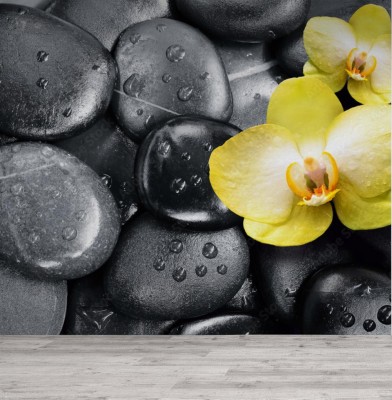 Fototapeta Szare kamienie i żółty kwiat orchidei 