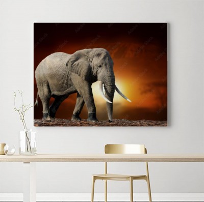 Obraz na płótnie Słoń na sawannie