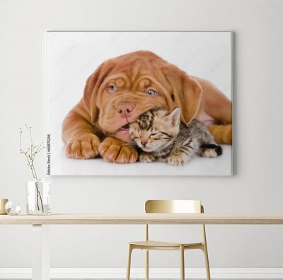 Obraz na płótnie Smak kota