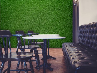 Fototapeta Trawa w tle