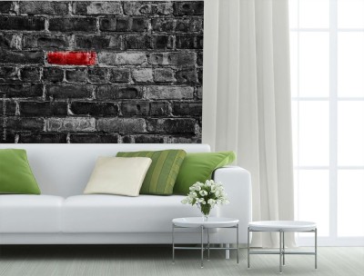 Fototapeta Czerwona cegła w czarno-białej ścianie