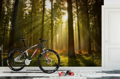 Fototapeta Piękny las