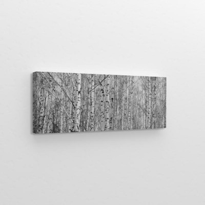 czarno-biala-panorama-z-brzozami-w-stylu-retro