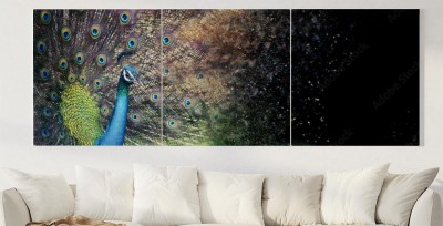 Obraz na płótnie Paw