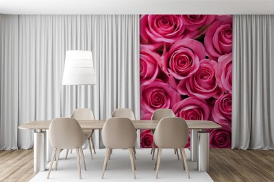 Fototapeta piękne różowe kwiaty róży