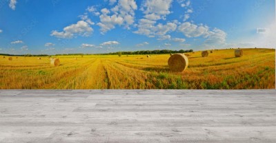 Fototapeta Letnia kraina