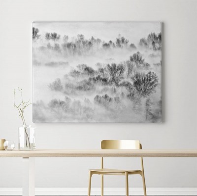 Obraz na płótnie Drzewa we mgle o wschodzie słońca