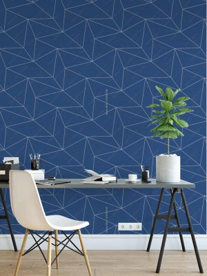 Fototapeta Sieć brył geometrycznych 