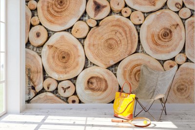 Fototapeta Przekrój poprzeczny pnia brzozy