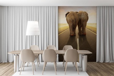 Fototapeta Słonie na drodze