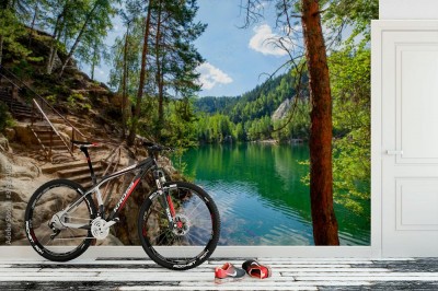 Fototapeta Leśne jezioro