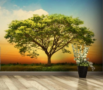 Fototapeta Drzewo jak ze snu