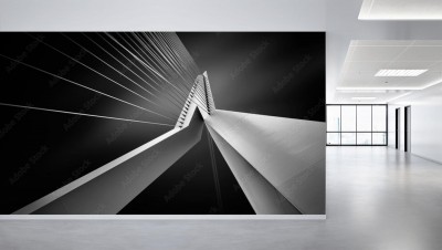 Fototapeta  Fragment mostu ErasmusBrug w Rotterdamie