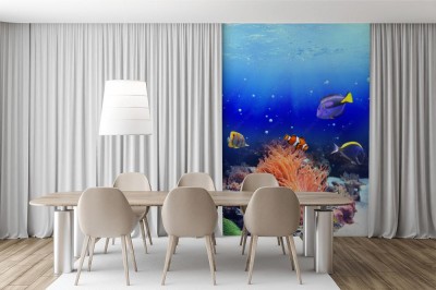 Fototapeta Podwodna scena z tropikalną ryba