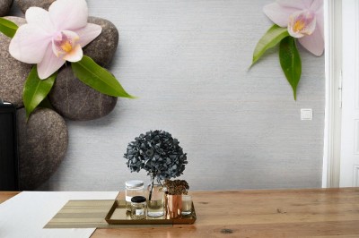 Fototapeta Orchidea