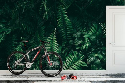 Fototapeta Tropikalny zielony liść w ciemnym odcieniu do przedpokoju