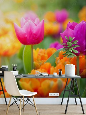 Fototapeta z wzorem pięknych tulipanów
