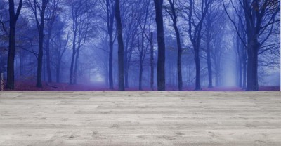 Fototapeta Dwie ścieżki w ciemnym i mglistym lesie