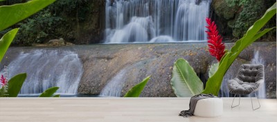 Fototapeta Malownicze wodospady i kwiat lrd na Jamajce