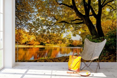 Fototapeta Złota jesień ze spokojnym jeziorem w parku