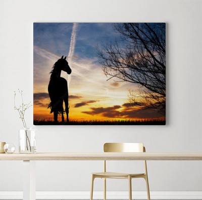 Obraz na płótnie Sylwetka konia o zachodzie słońca