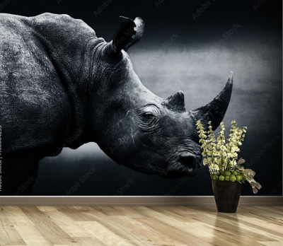Fototapeta Monochromatyczny portret nosorożca