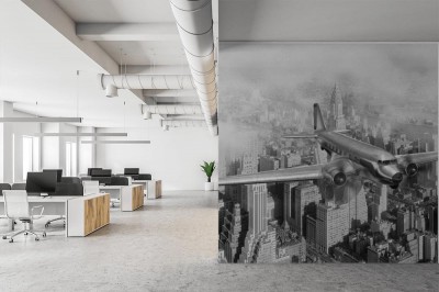 Fototapeta Samolot DC-3 Ponad Nowym Jorkiem