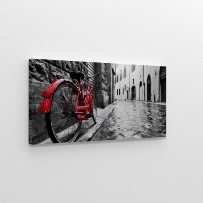 Obraz na płótnie Czerwony rower na czarno-białej uliczce