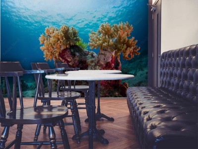 Fototapeta Na dnie morza w Indonezji