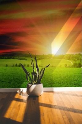 Fototapeta Piękny zmierzch na zielonej łące