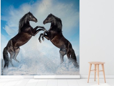 Fototapeta Pojedynek zimową porą