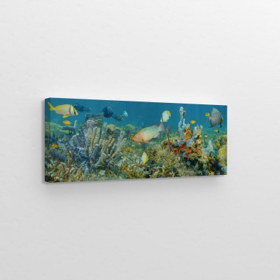 podwodna-panorama-z-kolorowym-zyciem-morskim-skomponowanym-przez-tropikalne-ryby-i-gabki-morskie