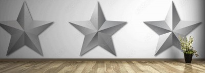 Fototapeta Gwiazdki Generalskie