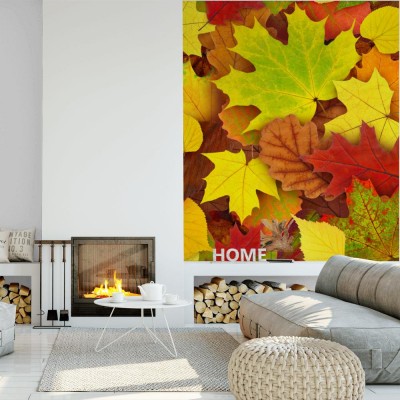 Fototapeta Jesienne liście